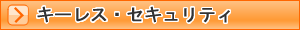 �L�[���X�E�Z�L�����e�B